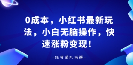 0成本，小红书最新玩法，小白无脑操作，快速涨粉变现-AI学习资源网