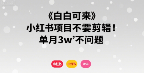 小白可来 小红书项目不需要剪辑 单月3w不是问题-AI学习资源网