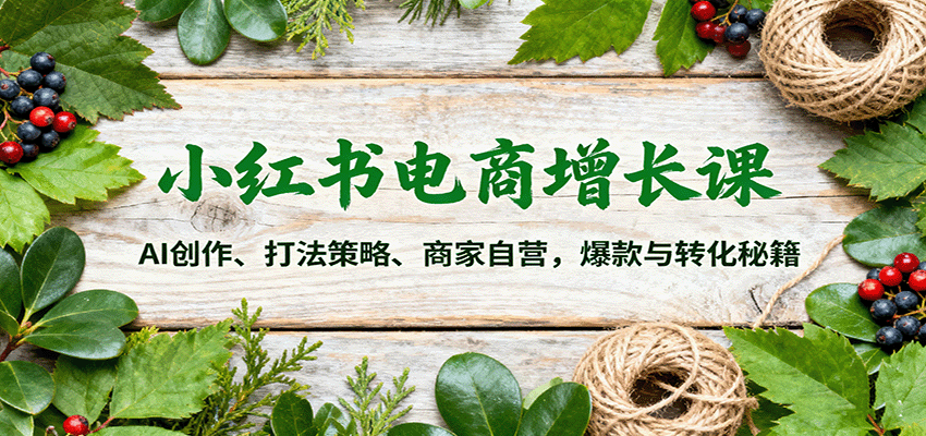 小红书电商增长课：AI创作、打法策略、商家自营，爆款与转化秘籍-AI学习资源网