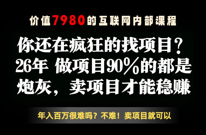 26年请不要疯狂的找项目了，卖项目远比你想象的暴利，你也可以月入10W+【揭秘】-AI学习资源网