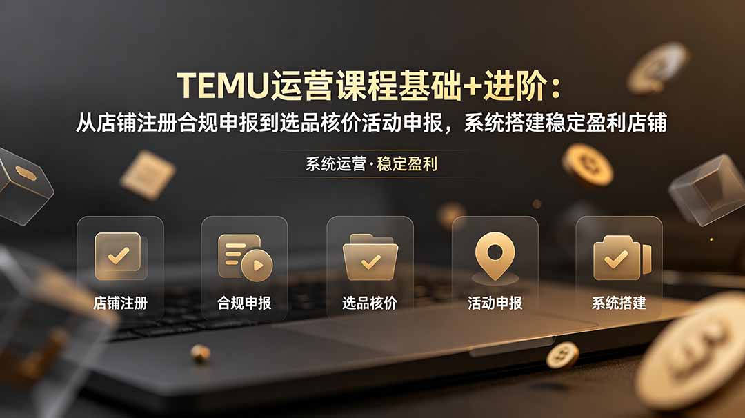 TEMU运营课程(基础+进阶-AI学习资源网