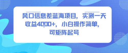 风口信息差蓝海项目，实测一天收益4k+，小白操作简单，可矩阵起号-AI学习资源网