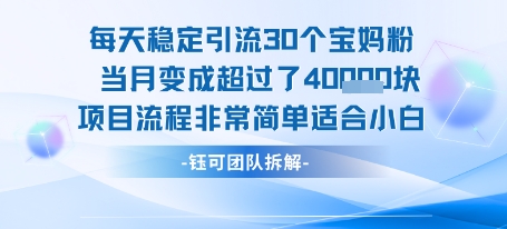 每天稳定引流30个人 当月变成超过了4个W项目流程非常简单适合小白-AI学习资源网