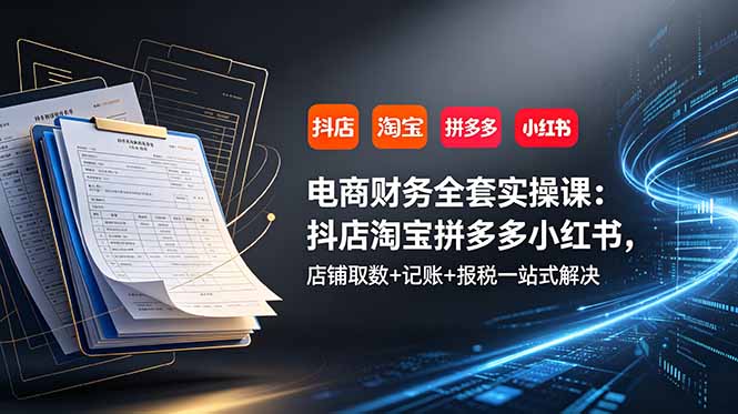 电商财务全套实操课：抖店淘宝拼多多小红书，店铺取数+记账+报税一站式解决-AI学习资源网