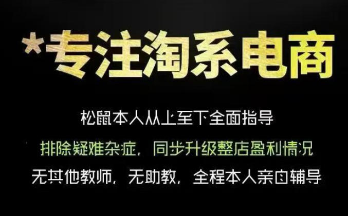 松鼠会电商VIP课程，从基础布局到高阶优化，助你掌握淘宝运营逻辑，提升店铺流量与转化-AI学习资源网