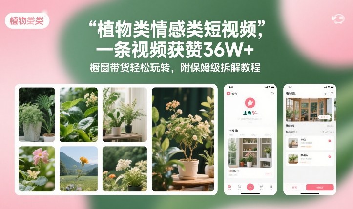 植物类情感类短视频，一条视频获赞36W+，橱窗带货轻松玩转，附保姆级拆解教程-AI学习资源网