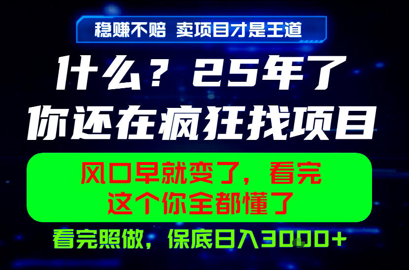 26年，请不要疯狂的找项目做了！卖项目才是真的稳賺不赔，看完照做，保底日入1k+【揭秘】-AI学习资源网