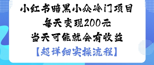 小红书暗黑小众冷门项目每天变现2张当天可能就会有收益-AI学习资源网