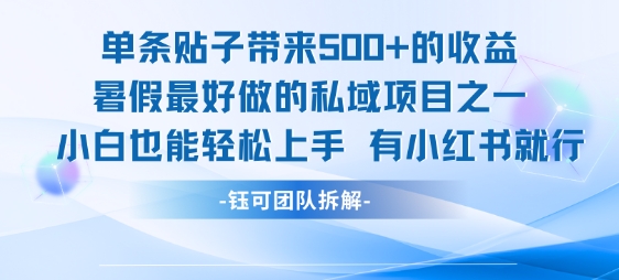 单条贴子带来5张的收益，暑假最好做的私域项目之一，小白也能轻松上手，有小红书就行-AI学习资源网