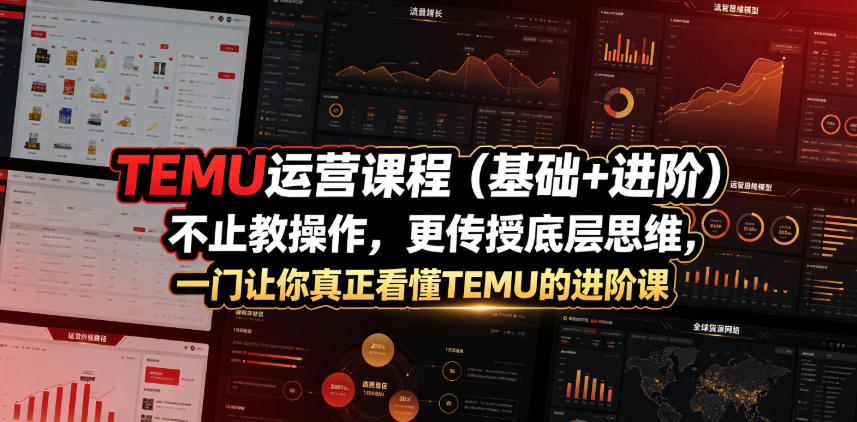 TEMU运营课程(基础+进阶)，不止教操作，更传授底层思维，一门让你真正看懂TEMU的进阶课-AI学习资源网