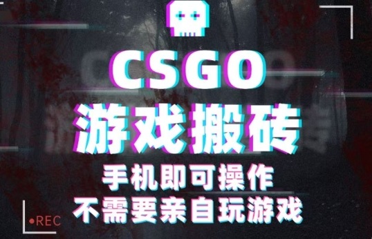 CSGO游戏挂G捡漏，单日扫货5张+，年底小高峰上车可吃肉，手机即可操作，兼职副业创业网创【揭秘】-AI学习资源网