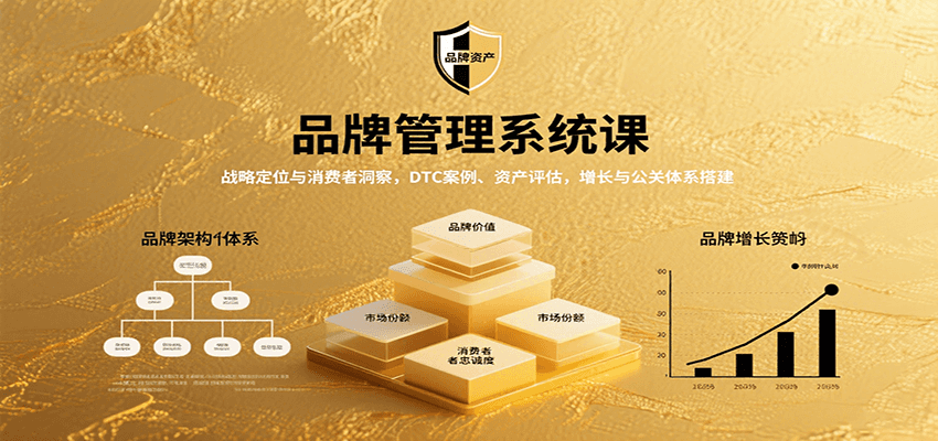 品牌管理系统课：战略定位与消费者洞察，DTC案例、资产评估，增长与公关体系搭建-AI学习资源网