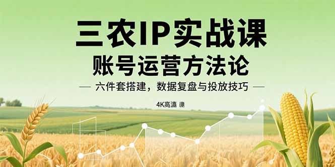 三农IP实战课：账号运营方法论，六件套搭建，数据复盘与投放技巧-AI学习资源网