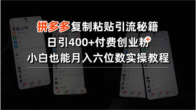 拼多多复制粘贴引流秘籍，日引400+付费创业粉，小白也能月入六位数实操…-AI学习资源网