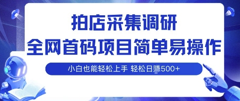 拍店采集调研，全网首码项目，简单易操作， 小白也能轻松上手，多账号操作，轻松日入5张【揭秘】-AI学习资源网
