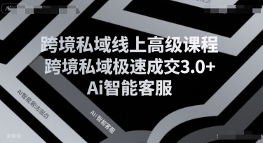 跨境私域线上高级课程，跨境私域极速成交3.0+Ai智能客服-AI学习资源网
