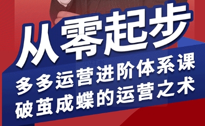 拼多多运营进阶系统课，从零起步，多多运营进阶体系课，破茧成蝶的运营之术-AI学习资源网