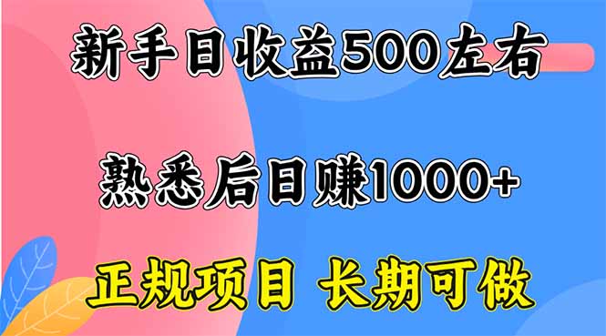 新手日收益500+ 正规项目 长期可做-AI学习资源网