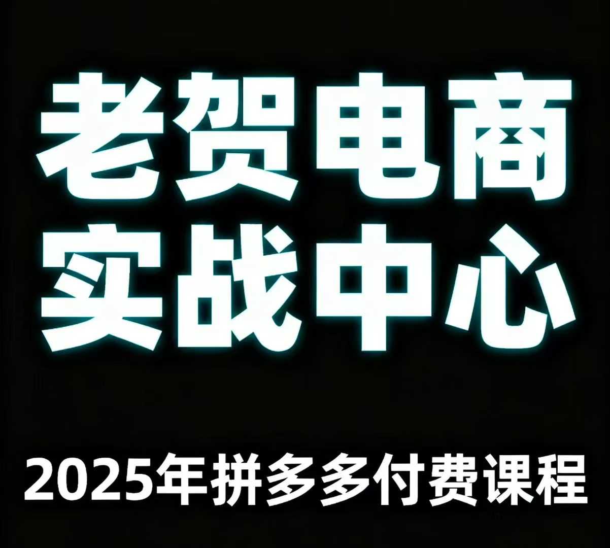 老贺电商2025年拼多多付费课程，用通俗易懂的方法告诉你多多怎么玩-AI学习资源网