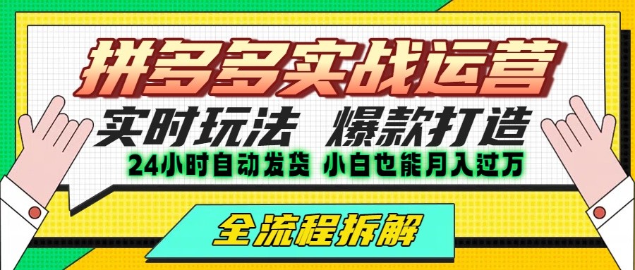 拼多多最新实战运营高投产：长久稳定项目，单店利润一天三位数-AI学习资源网