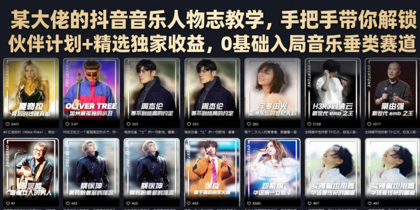 某大佬的抖音音乐人物志教学，手把手带你解锁伙伴计划+精选独家收益，0基础入局音乐垂类赛道-AI学习资源网
