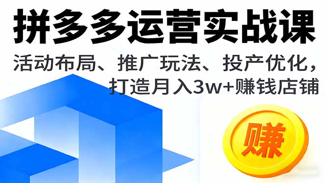 拼多多运营实战课，活动布局、推广玩法、投产优化，打造月入3w+赚钱店铺-AI学习资源网