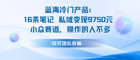 蓝海项目：16条笔记私域变现9750米小众赛道操作的人不多-AI学习资源网