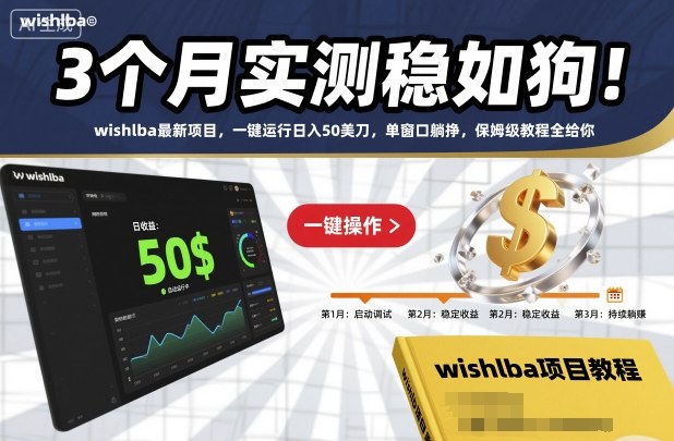 3个月实测稳如狗！wishlba最新项目，一键运行日入50美刀，单窗口躺挣，保姆级教程全给你【揭秘】-AI学习资源网