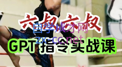 六叔的AI指令实战课(更新7月)-AI学习资源网