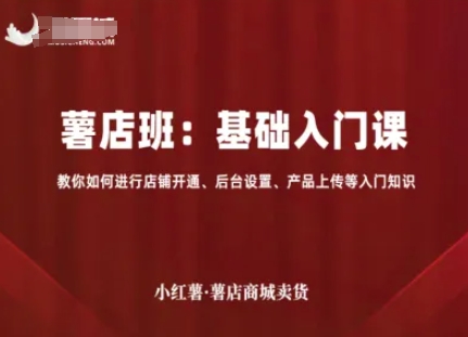 小红薯薯店商城卖货，基础入门课，教你如何进行店铺开通、后台设置、产品上传等入门知识-AI学习资源网