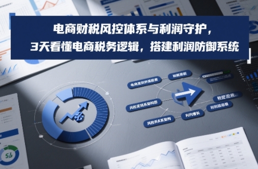 电商财税风控体系与利润守护，3天看懂电商税务逻辑，搭建利润防御系统-AI学习资源网