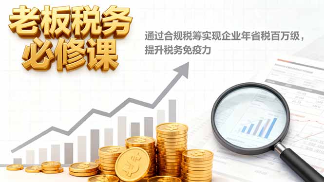 老板税务必修课，通过合规税筹实现企业年省税百万级，提升税务免疫力-AI学习资源网