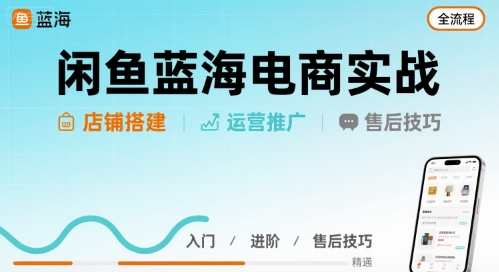 闲鱼蓝海电商实战，店铺搭建运营售后全流程-AI学习资源网