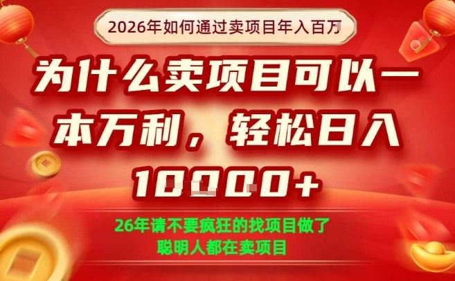 一单净利润1K+,26年想年入100个W,死磕卖项目就够了【揭秘】-AI学习资源网