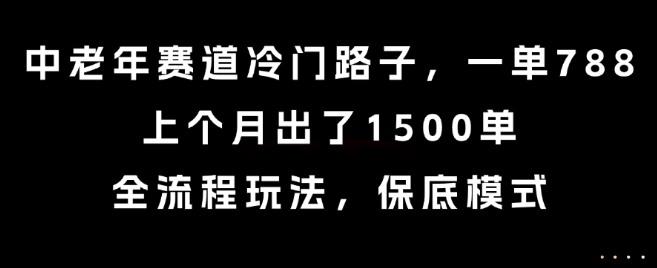 中老年赛道冷门路子，一单788，上个月出了1500单，全流程玩法，保底模式【揭秘】-AI学习资源网