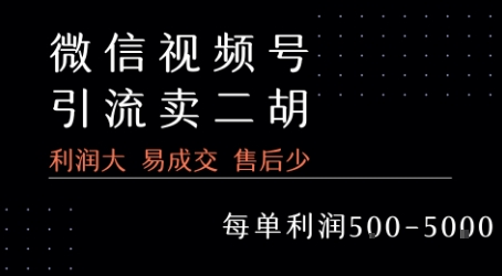 视频号卖二胡教程，利润大 易成交 售后少，一单利润5张+-AI学习资源网