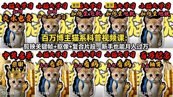 百万博主猫系科普视频课：剪映关键帧+抠像+复合片段，新手也能月入过万-AI学习资源网