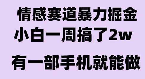 情感暴力掘金项目，新人操作一周挣了2W，长期稳定小白可做【揭秘】-AI学习资源网