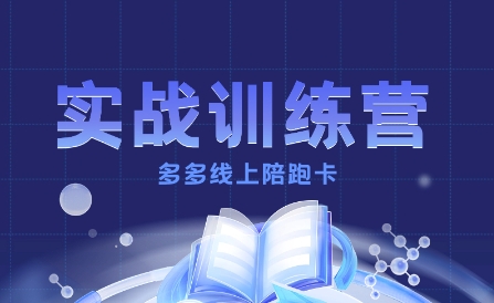 多多实战训练营，从0到1打造一个真正賺钱的店铺-AI学习资源网
