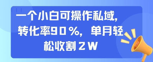 一个小白可操作私域，转化率90%，单月轻松收割2W-AI学习资源网