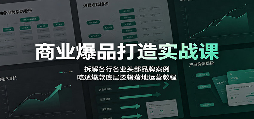 商业爆品打造实战课：拆解各行各业头部品牌案例，吃透爆款底层逻辑落地运营教程-AI学习资源网