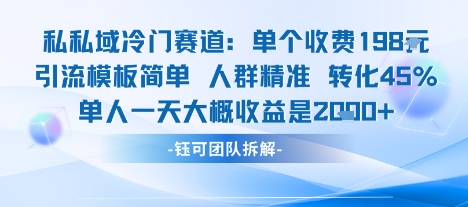 私域冷门赛道单个收费198米引流模板简单人群精准 45%的转化率单人一天大概收益多张-AI学习资源网