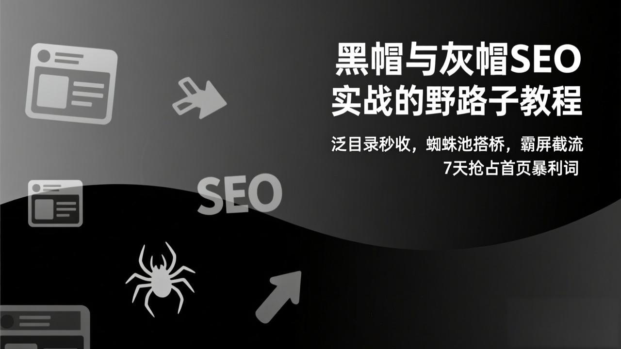 黑帽与灰帽SEO实战的野路子教程：泛目录秒收，蜘蛛池搭桥，霸屏截流，7天抢占首页暴利词-AI学习资源网