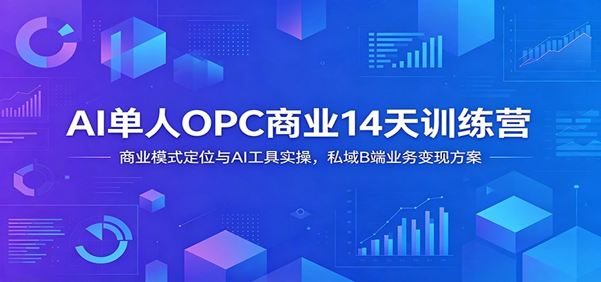 AI单人OPC商业14天训练营：商业模式定位与AI工具实操，私域B端业务变现方案-AI学习资源网