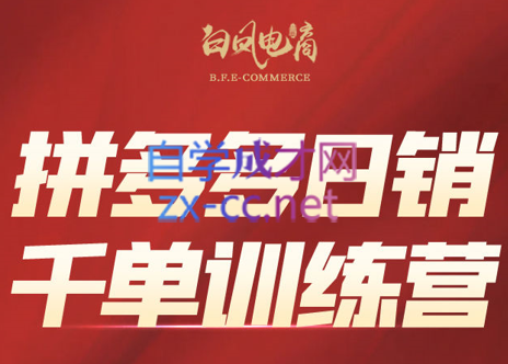 白凤电商·拼多多日销千单训练营(更新7月)-AI学习资源网