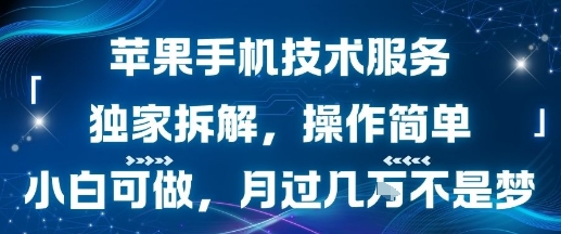 苹果手机技术服务，独家拆解，操作简单，小白可做，月过1W不是梦-AI学习资源网
