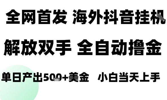 海外抖音无人直播，单日产出1.5k+，长期稳定，新手可玩，无脑操作【揭秘】-AI学习资源网