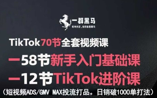 TikTok全套视频课，新手入门+进阶课，短视频ADS-GMV MAX投流打品，日销破1000单打法-AI学习资源网