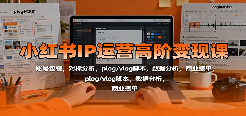 小红书IP运营高阶变现课:账号包装,对标分析,plog/vlog脚本,数据分析,商业接单-AI学习资源网