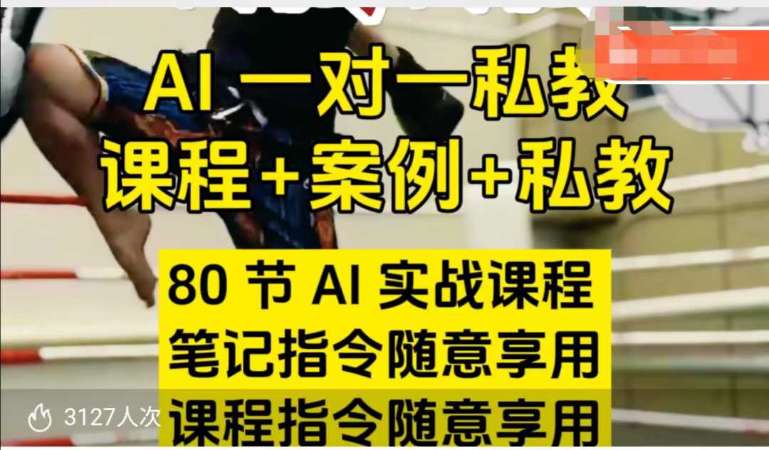 AI指令实战课，课程+案例，80节AI实战课程，笔记指令随意享用，课程指令随意享用(更新7月)-AI学习资源网